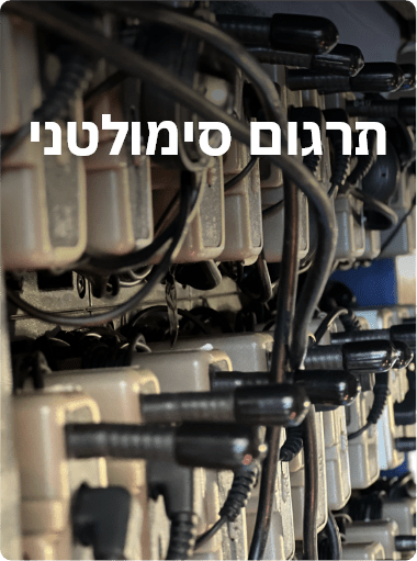 תרגום סימולטני